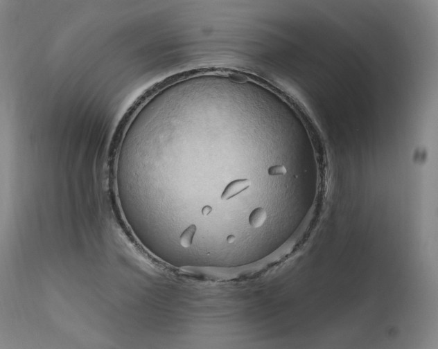 X0000110970924200906191332