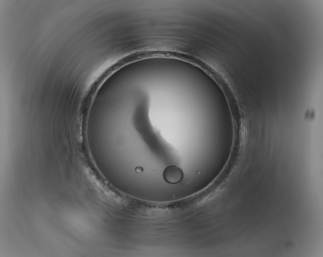 X0000110970925200906191332