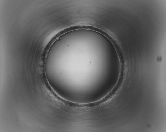 X0000110970926200906191332