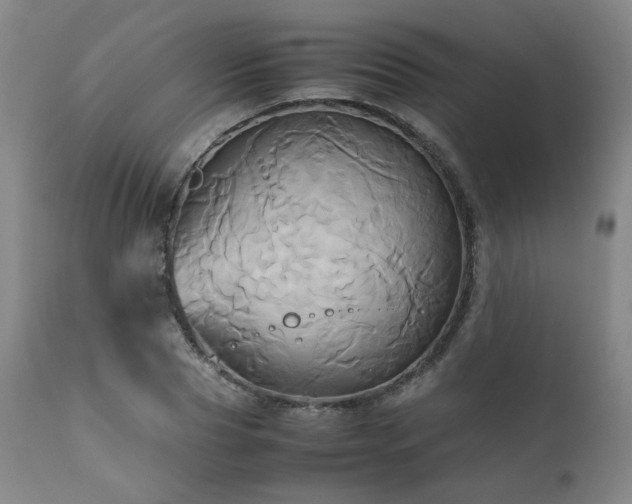 X0000110970929200906191332