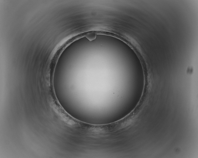 X0000110970931200906191332