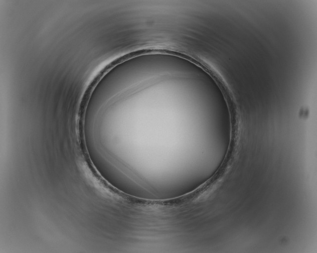 X0000110970932200906191332