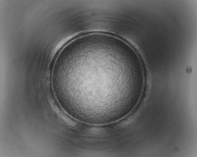 X0000110970933200906191332