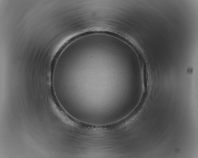 X0000110970934200906191332