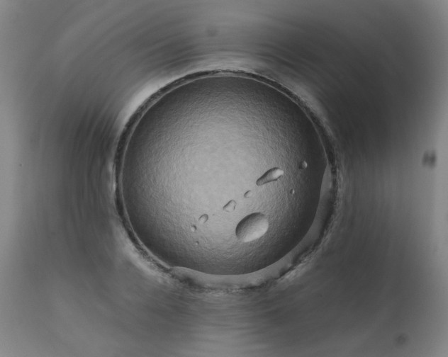 X0000110970936200906191332