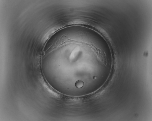 X0000110970937200906191332