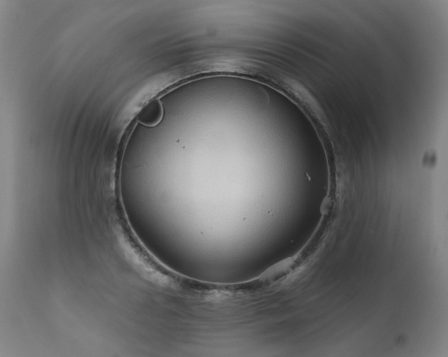 X0000110970938200906191332