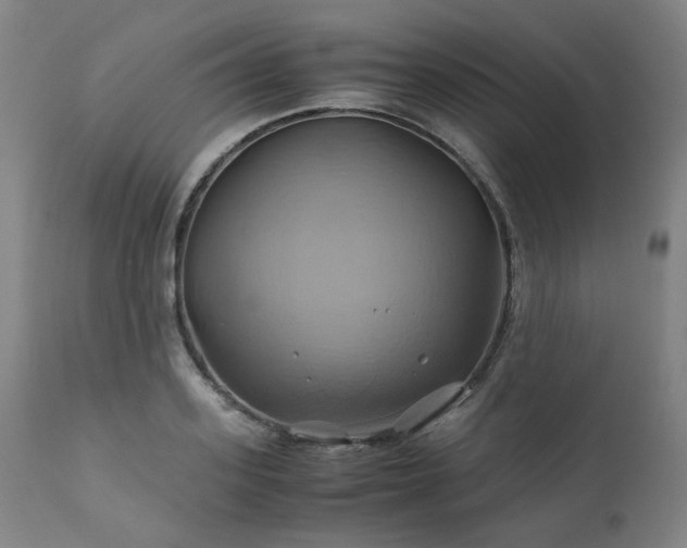 X0000110970939200906191332