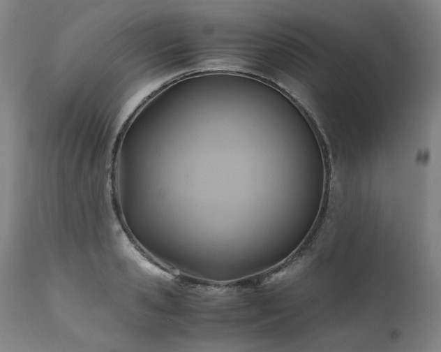 X0000110970941200906191332