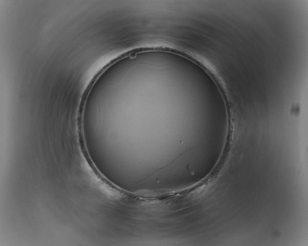 X0000110970943200906191332