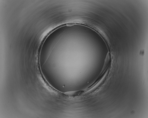 X0000110970944200906191332