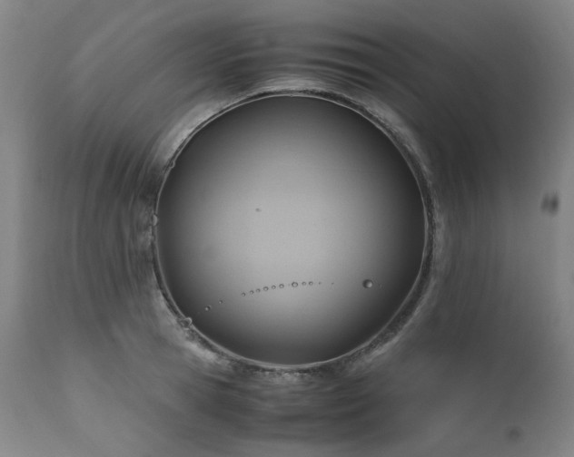 X0000110970945200906191332