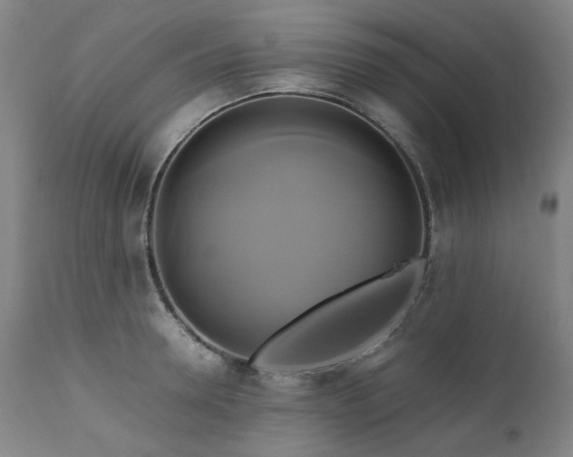 X0000110970946200906191332