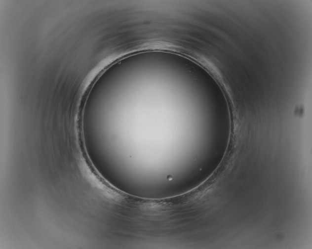 X0000110970947200906191332