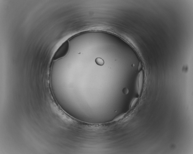 X0000110970948200906191332