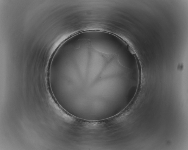 X0000110970949200906191332