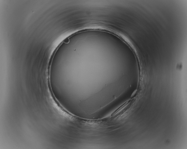 X0000110970951200906191332