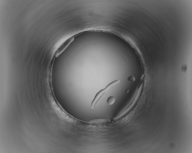 X0000110970952200906191332