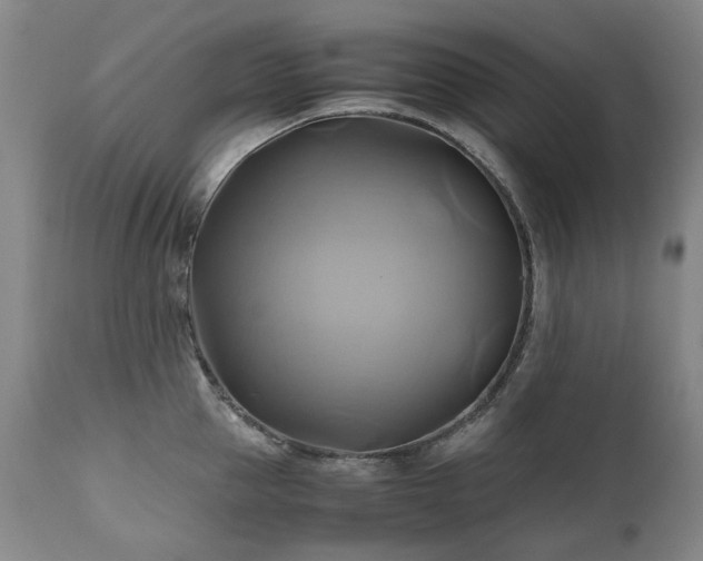 X0000110970953200906191332