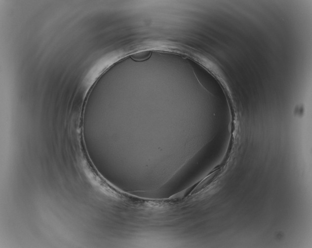 X0000110970954200906191332