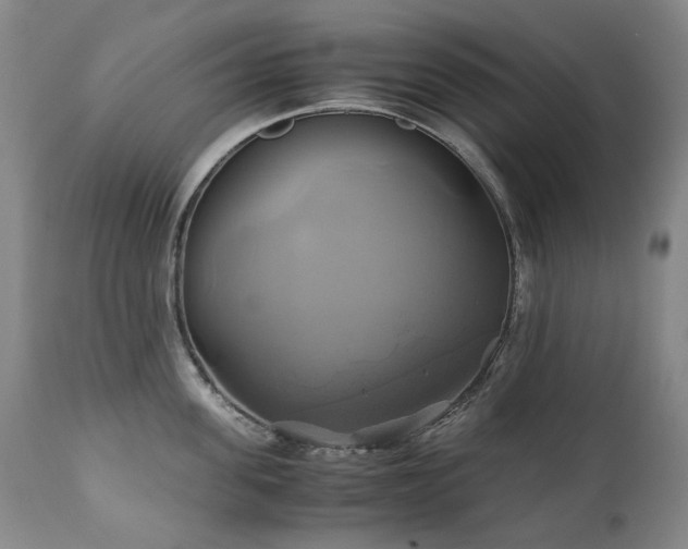 X0000110970955200906191332