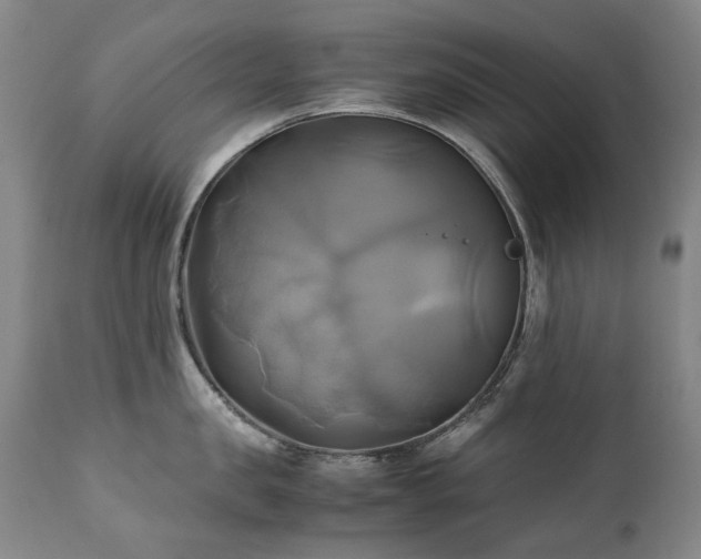 X0000110970957200906191332