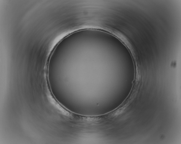 X0000110970958200906191332