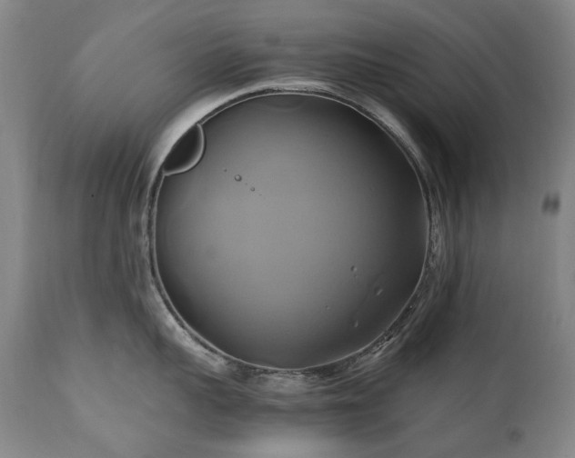 X0000110970959200906191332