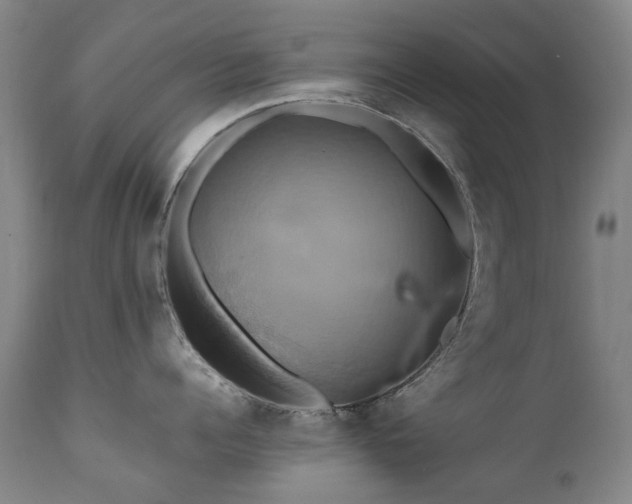 X0000110970960200906191332