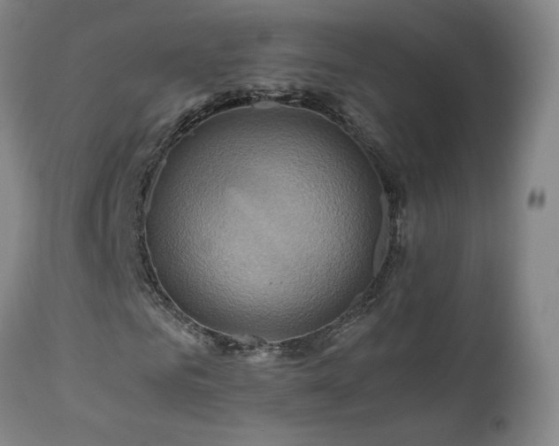 X0000110970961200906191331