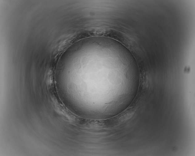 X0000110970962200906191331