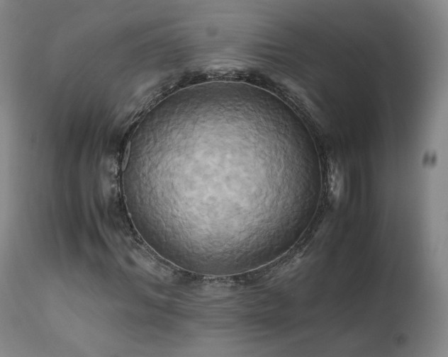 X0000110970964200906191331