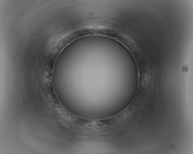 X0000110970966200906191331