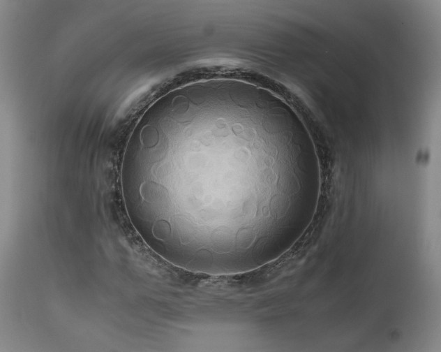 X0000110970967200906191331