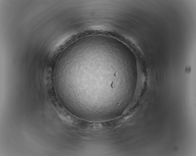 X0000110970968200906191331