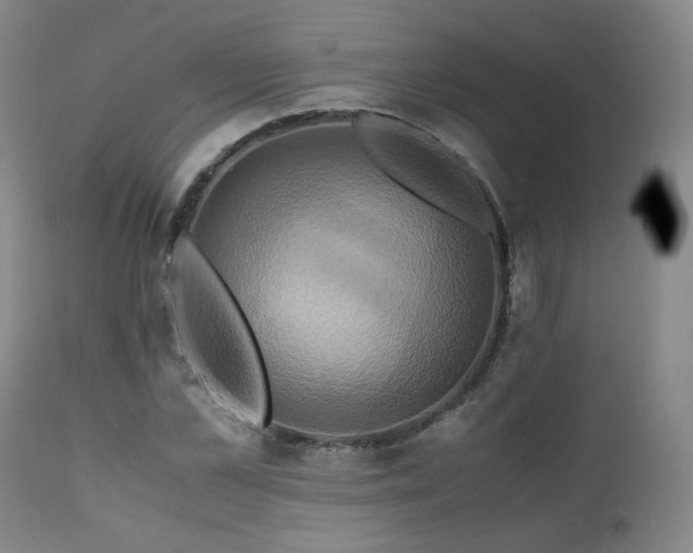 X0000110970973200906191331