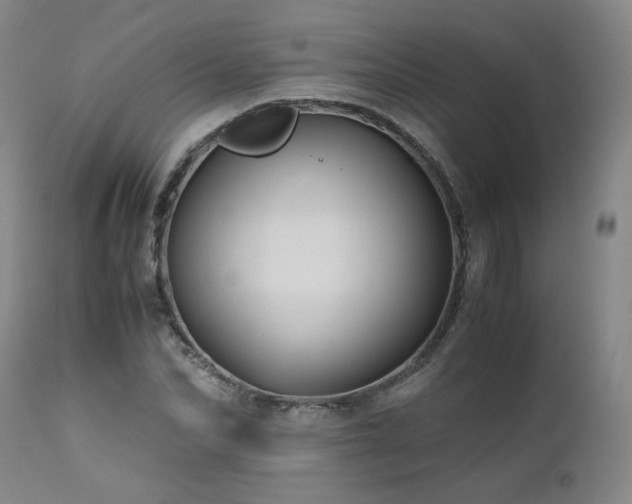 X0000110970974200906191331