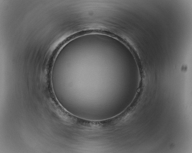 X0000110970975200906191331