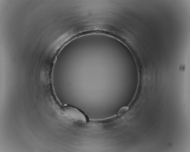 X0000110970977200906191331