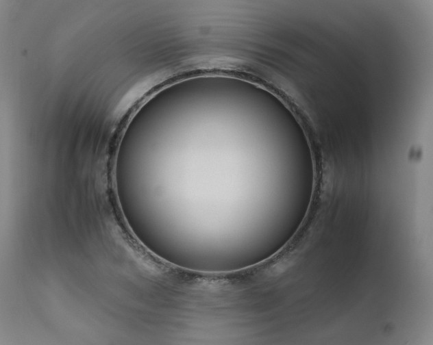 X0000110970978200906191331