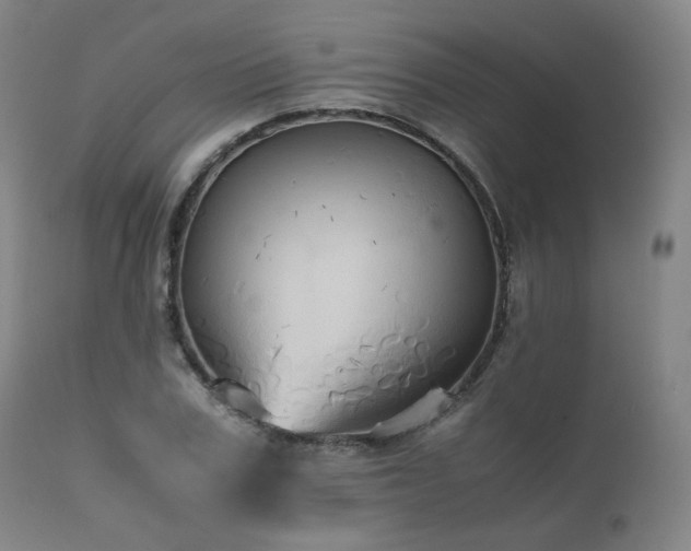 X0000110970979200906191331