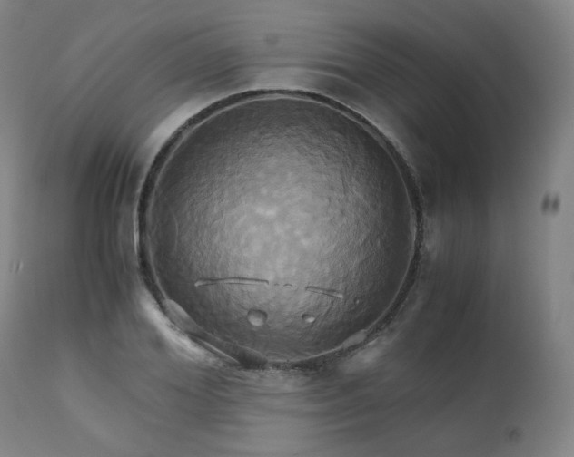 X0000110970980200906191331