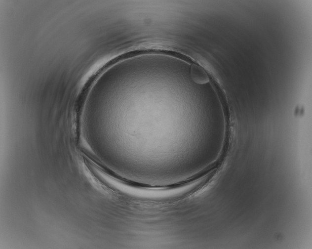 X0000110970981200906191331