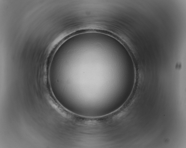 X0000110970982200906191331