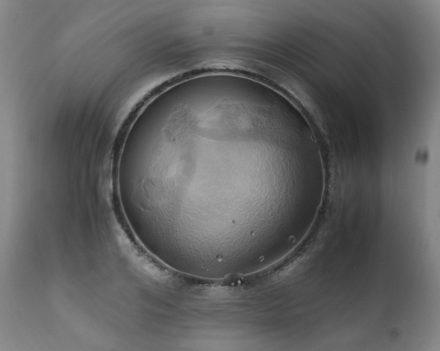 X0000110970984200906191331