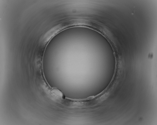 X0000110970985200906191331