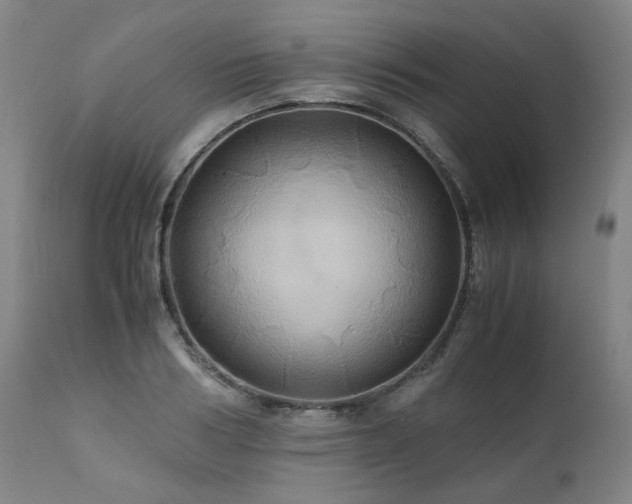 X0000110970986200906191331