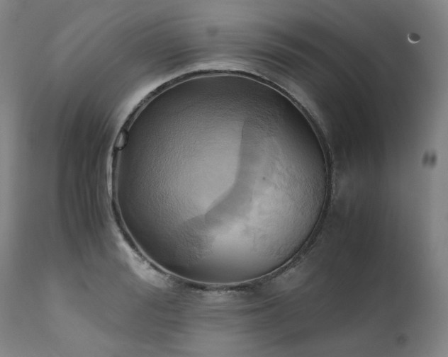 X0000110970988200906191331