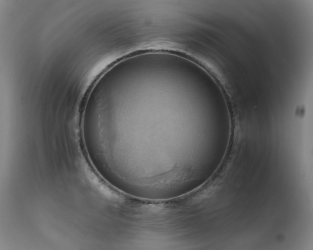 X0000110970990200906191331