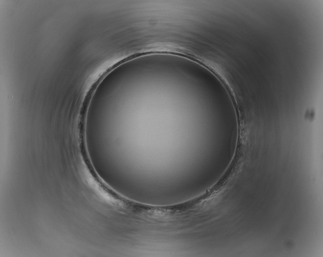 X0000110970995200906191331